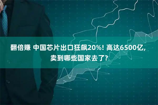 翻倍赚 中国芯片出口狂飙20%! 高达6500亿, 卖到哪些国家去了?