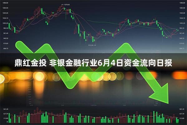 鼎红金投 非银金融行业6月4日资金流向日报