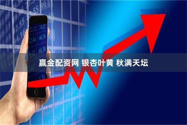 赢金配资网 银杏叶黄 秋满天坛