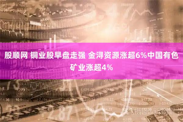 股顺网 铜业股早盘走强 金浔资源涨超6%中国有色矿业涨超4%